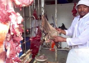 Tanzanian small business owner selling meat at a local market