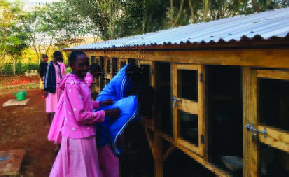 girls on ecofarm
