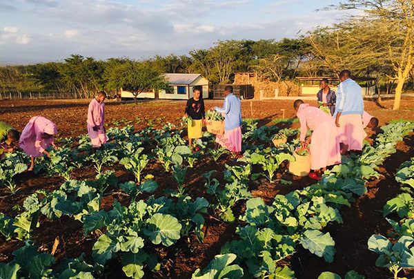 The girls enjoy helping on the farm