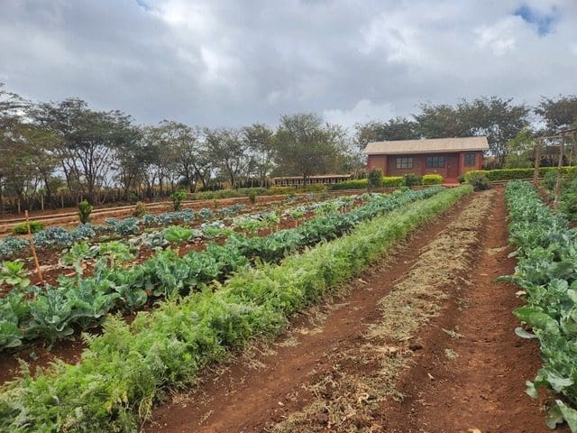 A sprawling view of MGRC ecoFarm in Tanzania Africa