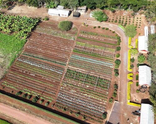 arial view of the MGRC ecofarm crops