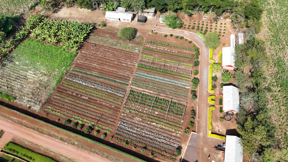 arial view of the MGRC ecofarm crops