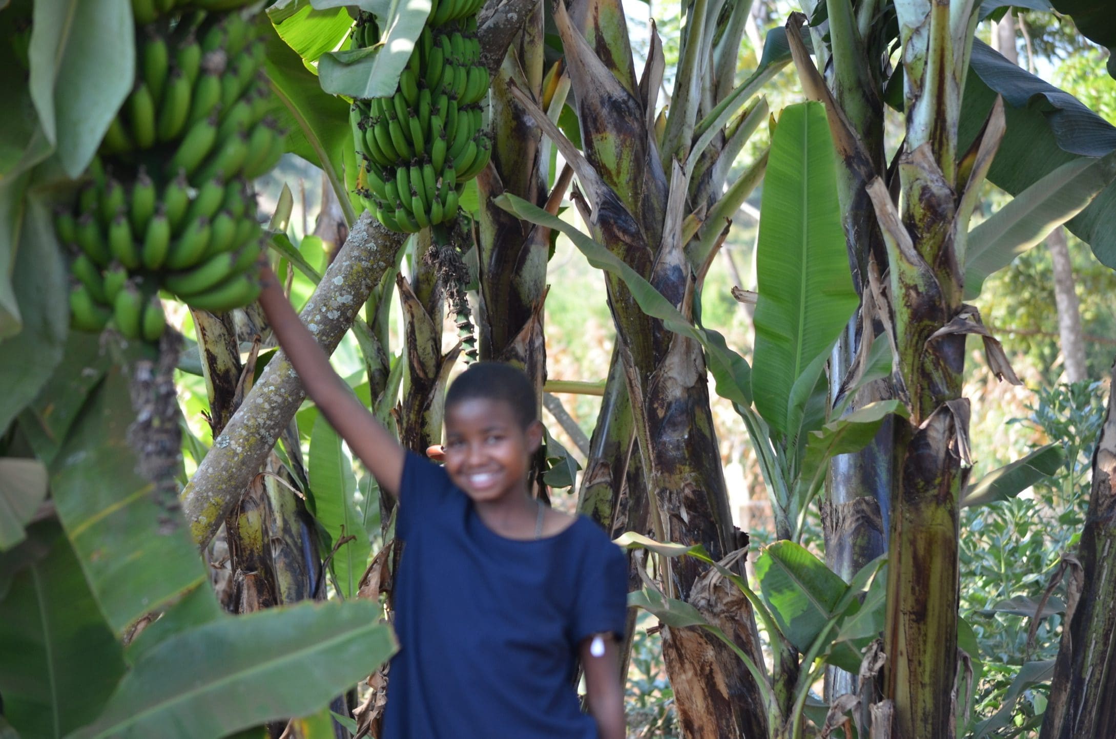 890AC63F A7F5 4F7B 9E59 9BA157308DEF 1 102 o