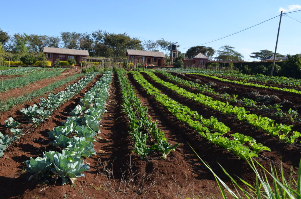 spanning view of the MGRC ecoFarm in Tanzania