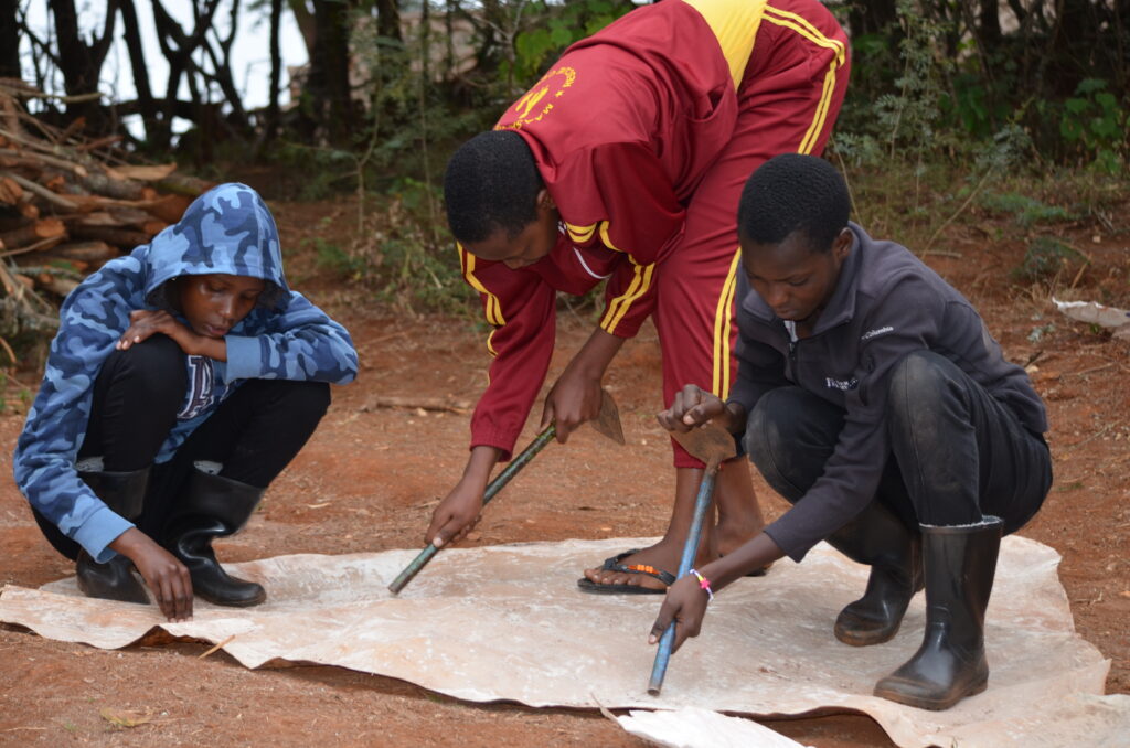 Girls preparing cow skin for making beds in the bomas (L to R, Namelock S., Victoria, Namelock M.)