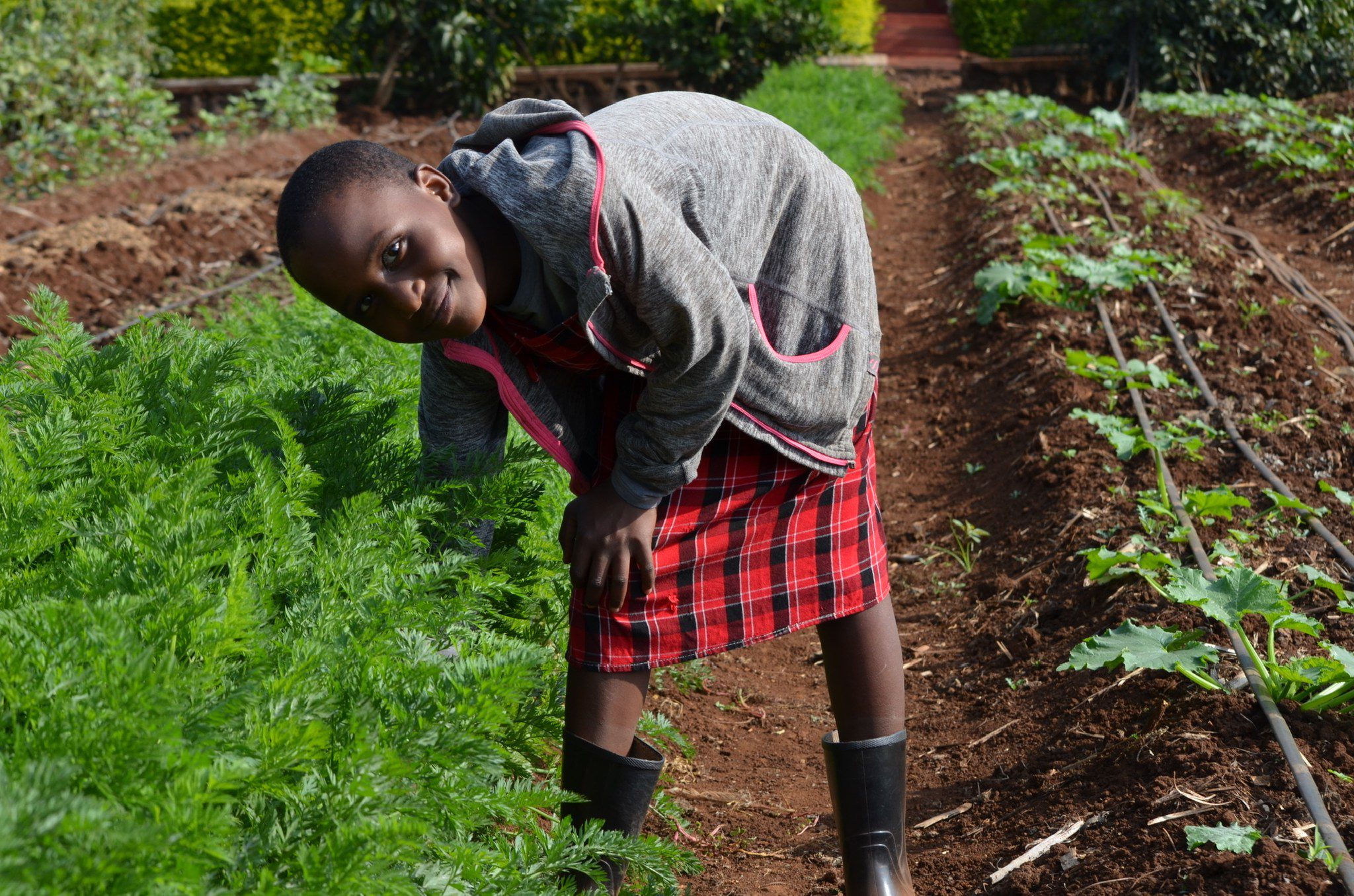 empowering Maasai girls about sustainable farming techniques at MGRC ecoFarm