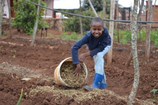 maasai girls learning sustainable farming