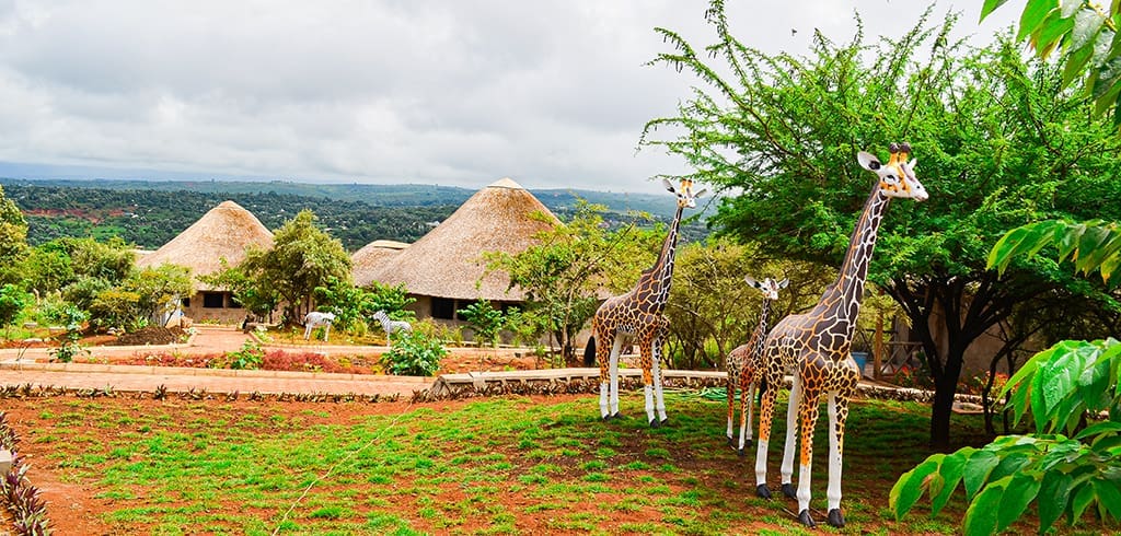 ecolodge banner