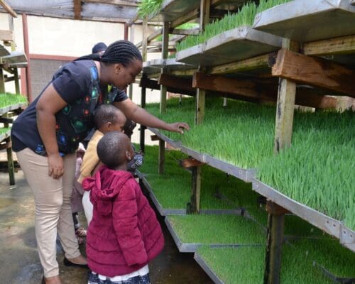 young maasai girls learning about hydrophonics on the ecofarm